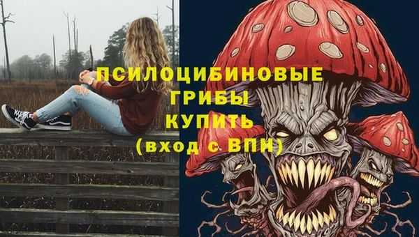 винт Кукмор