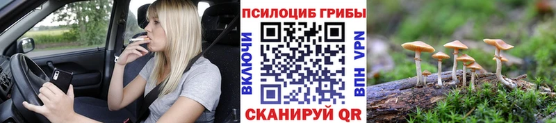 Купить закладки  Ува  Галлюциногенные грибы MAGIC MUSHROOMS 